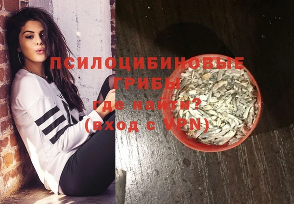 дмт Алзамай
