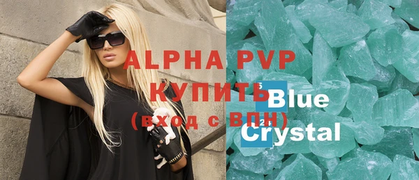 стаф Аркадак