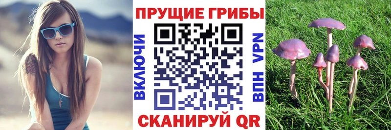 гидра маркетплейс  Бологое  Галлюциногенные грибы мухоморы 