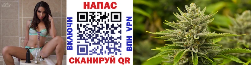 наркошоп  Бологое  Канабис индика 